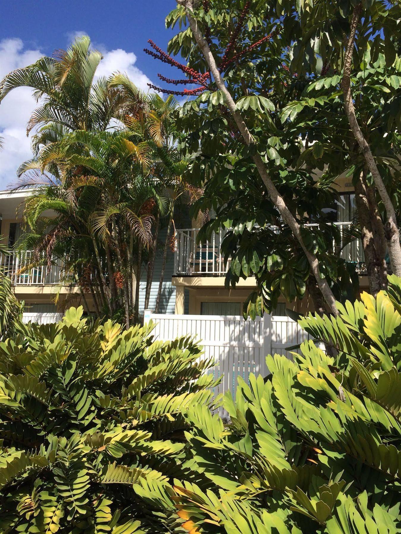 Coquina On The Beach Lido Key  Exterior photo